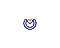 VKTD Investment Limited